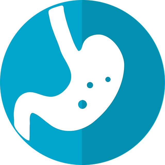 stomach-icon-2316627_640.jpg